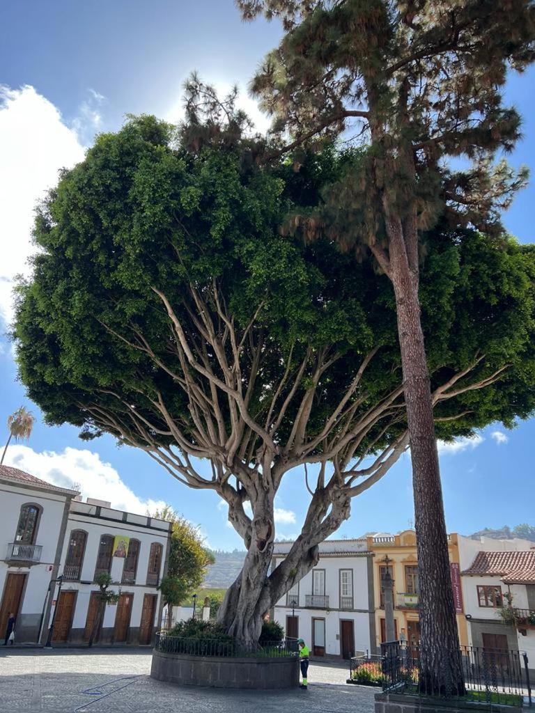 Апартаменти Casa En Teror Centrica Turismo De Ciudad Y Bosques Екстер'єр фото